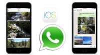 iOS上的WhatsApp升级了相册，过滤器: 这是它的工作原理